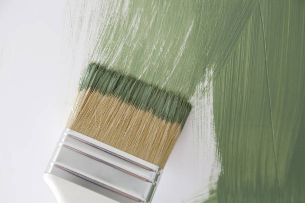 Reliable Del Mar, CA Mold Removal Solutions